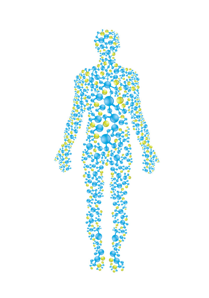 MTHFR gene mutations and nutritional breaks