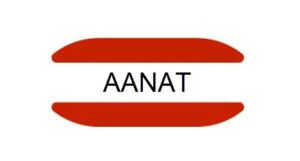 AANAT gene mutation