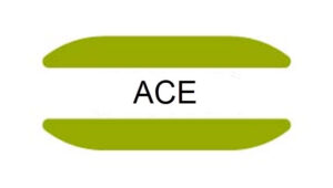 ACE gene mutation
