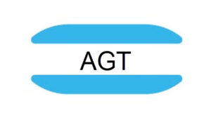 AGT gene mutation
