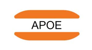 APOE gene mutation