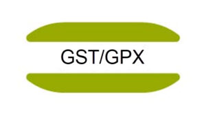 GST GPX gene mutation