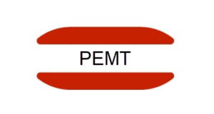 PEMT gene mutation