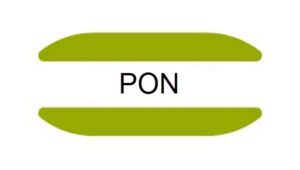 PON gene mutation